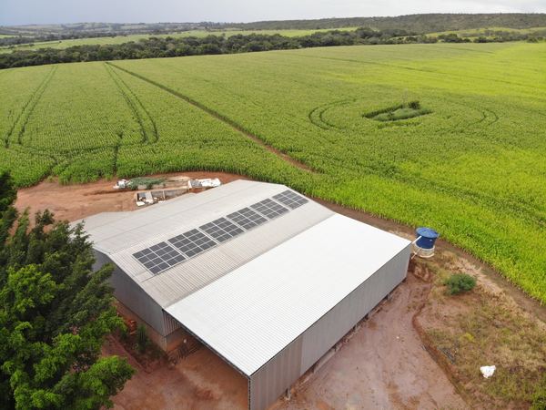 Vista aérea: galpão em área de lavoura com painéis solares instalados pela Bolt Solar